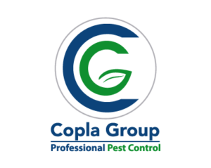 Diseño logos corporativos