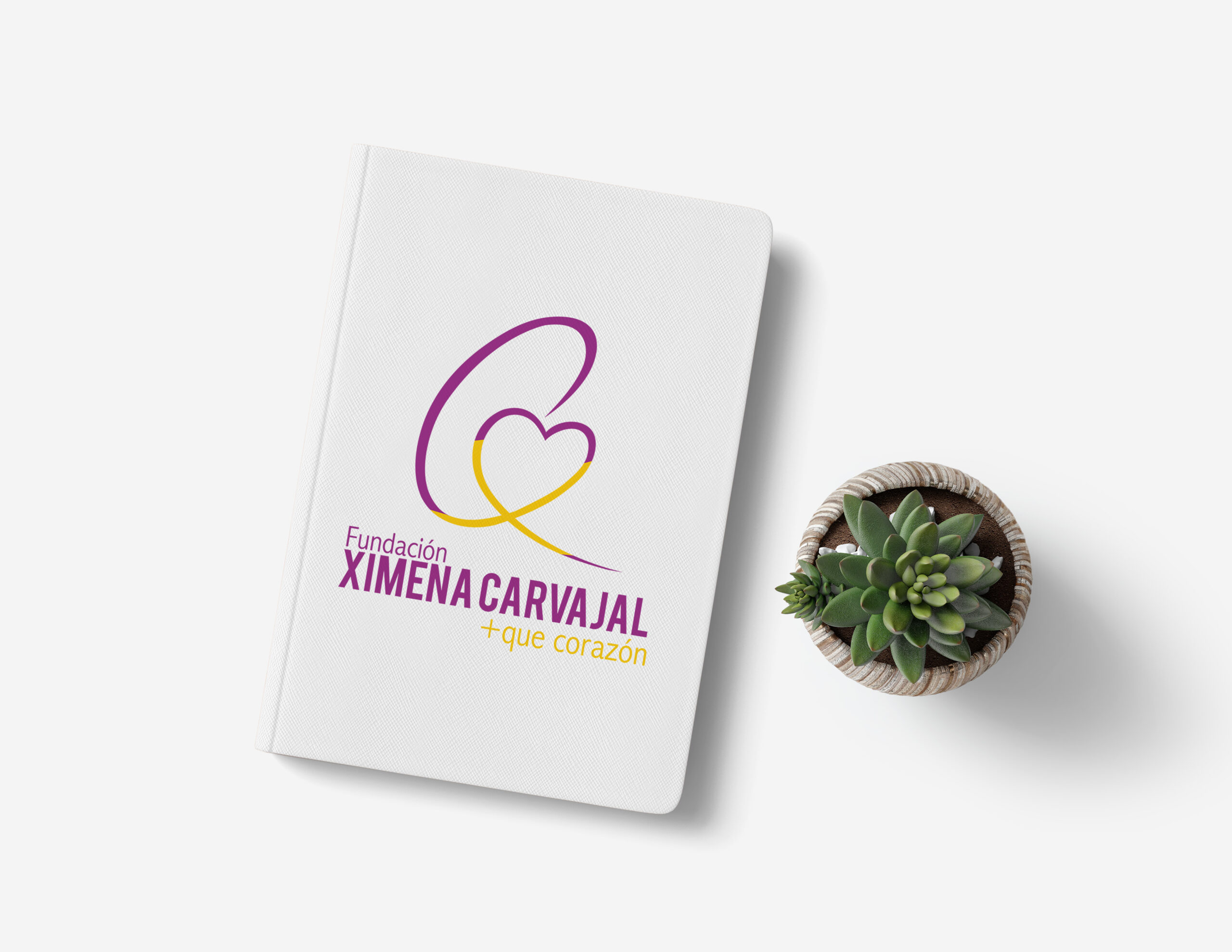 disenologo_fundacion_ximena_carvajal