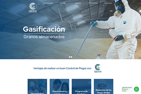 Diseño de landing page copla group Diseño de landing page copla group